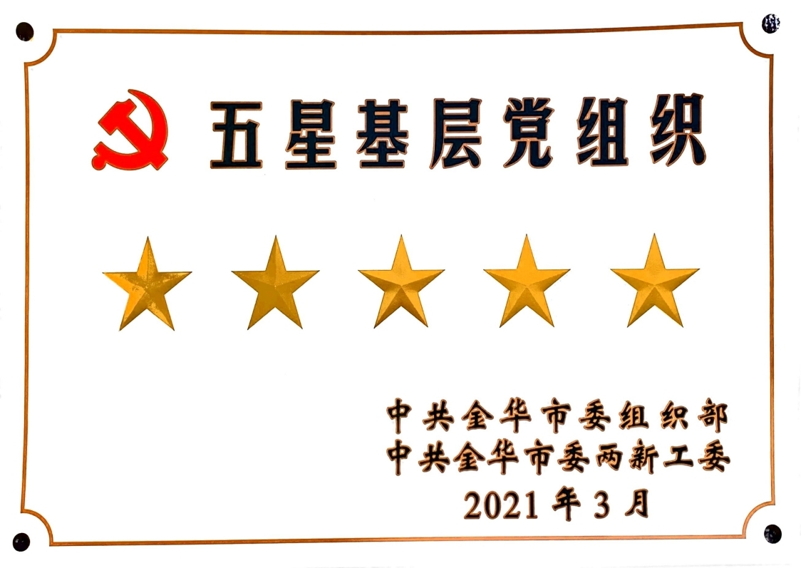 2020五星党组织.pdf_page_1.jpg